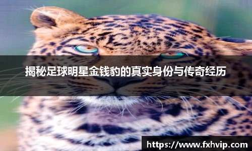 南宫ng28