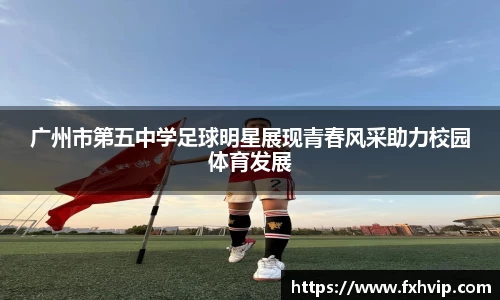 南宫ng28官网